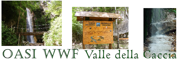 oasi-wwf-valle-della-caccia